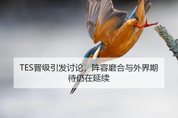 TES晋级引发讨论，阵容磨合与外界期待仍在延续